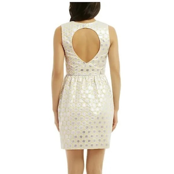 Raoul Metallic Silver/Yellow Medallion Sleeveless Fit & Flare Cocktail Dress - Picture 8 of 11